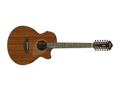 Ibanez AE2912 12-string Acoustic-electric Guitar main image