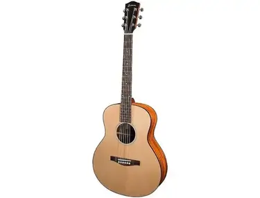 Eastman ACTG1