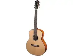 Eastman ACTG1