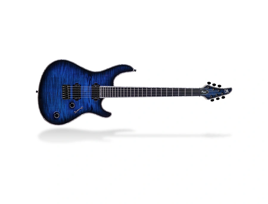 Mayones Regius 6 - What To Know & Where To Buy | Equipboard