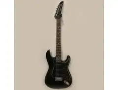 Epiphone S-310