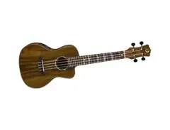 Luna High-Tide Concert Acoustic/Electric Concert