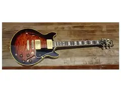 Ibanez AM205 Electric Guitar