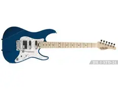 Schecter BH1 STD 24