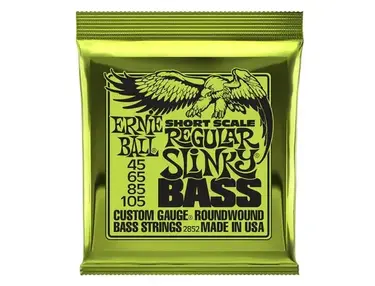 Ernie Ball Short Scale Regular Slinky Bass Strings (45-105)