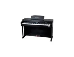 Sulinda SL20 Digital Piano main image