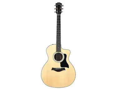 Taylor 114ce Walnut with Maple Neck
