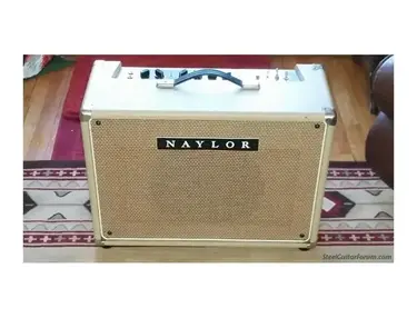 Naylor EV38 112 Combo Amp