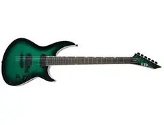 ESP LTD H3-1000 FM Electric Guitar main image