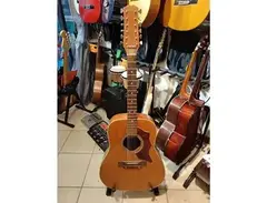 Hoyer 12 String Guitar
