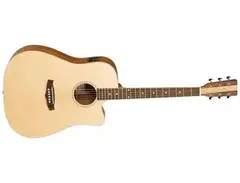 Tanglewood Tndce Nashville IV Dreadnought Nashville main image
