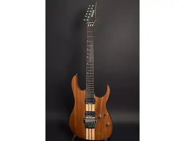 Ibanez RGT2020 Prestige