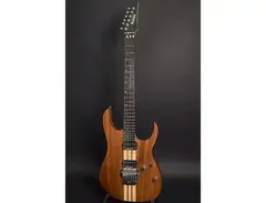 Ibanez RGT2020 Prestige