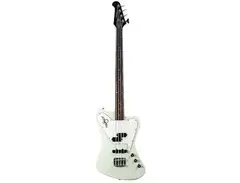 Epiphone Non-Reverse Thunderbird-IV main image