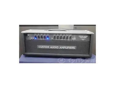 Custom Audio Electronics OD-100 SE+