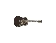Ibanez F360 main image