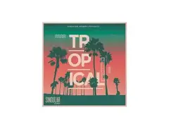 Singular Sounds Tropical House Sample Pack