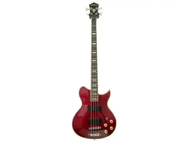 Washburn WB66