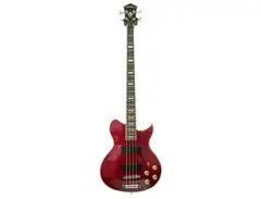 Washburn WB66 main image