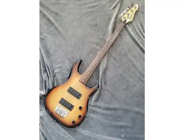 Peavey Foundation FL Fretless