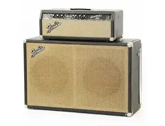 Fender 'Black Panel' Bassman Piggyback AB165 (1964-1966)