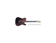 Seen Futoshi Abe Telecaster Custom #4 main image
