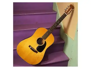 Martin D-18S 12-Fret 1967 - 1994