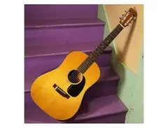 Martin D-18S 12-Fret 1967 - 1994