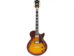 D'Angelico Excel SS XT