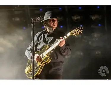 Gibson ES-335 Daron Malakian Custom