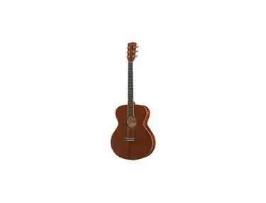 Harley Benton CG-45 NS