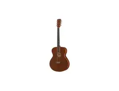 Harley Benton CG-45 NS
