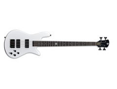 Spector NS Ethos HP 4 main image