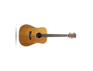 Martin Shenandoah D-2832