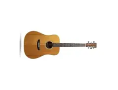 Martin Shenandoah D-2832 main image