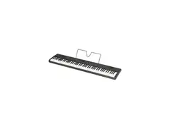Korg Liano main image