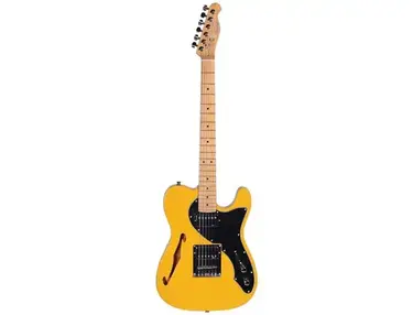 Artist Guitars TL69