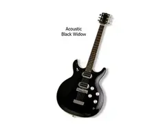 Acoustic control corporation Acoustic Black Widow Guitar