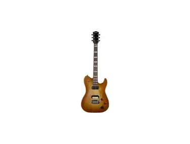 Godin Radium-X Rustic Burst w. Bag