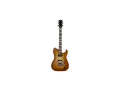 Godin Radium-X Rustic Burst w. Bag