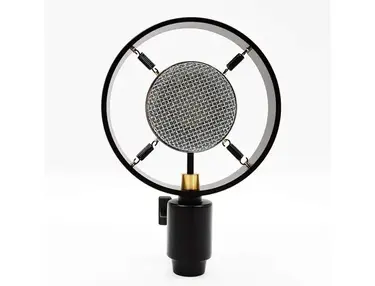 Antique Vintage Classic Cinema Theater Auditorium Speech Live Vocal 25mm Big Diaphragm Condenser Microphone