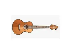 Rick Turner Guitars Compass Rose