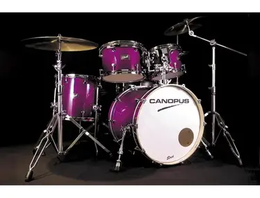 Canopus Birch