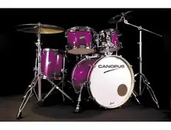 Canopus Birch main image