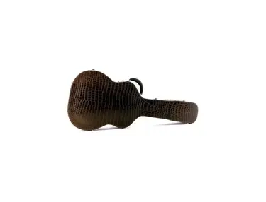 Hermès Crocodile Guitar Case