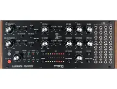 Moog Labyrinth