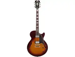 D'Angelico Premier Kurt Rosenwinkel SS main image