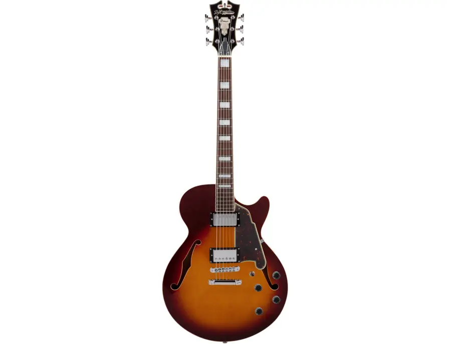 D'Angelico Premier Kurt Rosenwinkel SS - What To Know & Where To