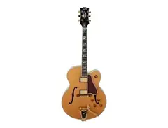 Gibson Super 4000 main image