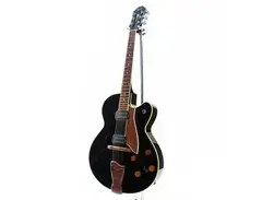 Fender D'Aquisto Standard main image